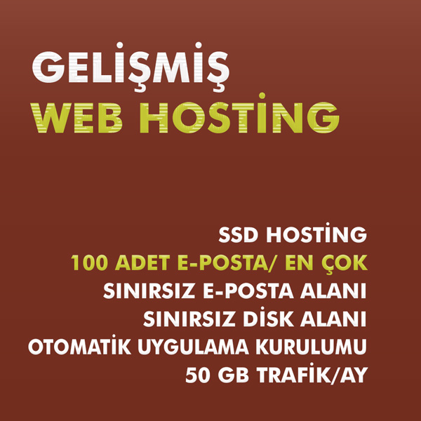 Gelişmiş web hosting paketi